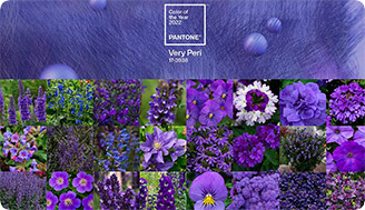 Цвет 2022 года Pantone: смыслы, сочетания и товары Consta Garden в этом оттенке
