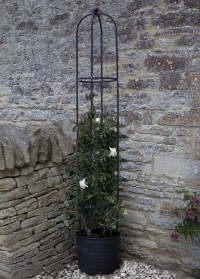 Опора садовая металлическая для вьющихся растений Smart Obelisk Smart Garden картинка