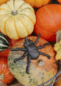 Декоративная фигурка паука из чугуна TT174 Esschert Design фото