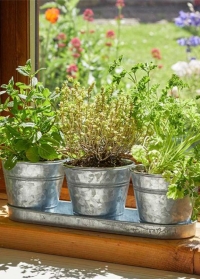 Набор из 3-х оцинкованных кашпо для выращивания трав и цветов на поддоне Galvanised от Smart Garden фото