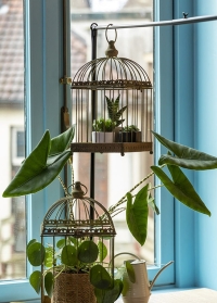 Декоративная птичья клетка для интерьера дома и дачи AM117 от Esschert Design фото