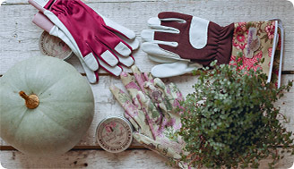 Как правильно выбрать перчатки для сада и огорода: советы садоводам (Часть 2)