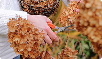 8 важных садовых дел в октябре: чек-лист для садовода
