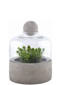 Террариум для растений на керамическом поддоне AGG43 Esschert Design фото