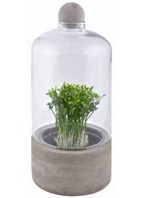 Террариум для растений на керамическом поддоне AGG44 Esschert Design фото