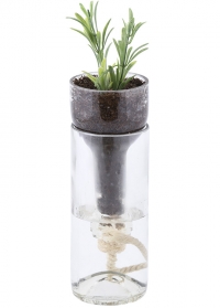 Цветочный мини горшок стеклянный с поливом AGG46 Esschert Design фото.jpg