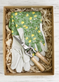 Подарок садоводу для ухода за колючими растениями Sicilian Lemon от Consta Garden фото