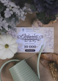 Подарочный сертификат 10000 руб Consta Garden фото 
