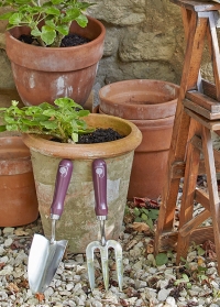 Набор садовых инструментов - совок и вилка для рыхления почвы Passiflora Collection Burgon & Ball фото