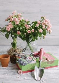 Набор садовых инструментов в красивой подарочной коробке Rosa Chinensis Collection от Burgon & Ball фото