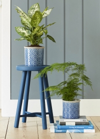 Кашпо керамическое, L  Porto Blue Indoor Pots Collection Burgon & Ball  картинка 2