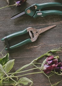 Ножницы флористические для цветов Burgon & Ball фото.jpg