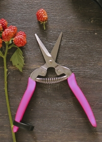 Ножницы для цветов флористические с яркими ручками Burgon and Ball фото.jpg