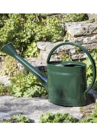 Лейка металлическая для сада огорода 5 л Green от Burgon & Ball (Великобритания) фото