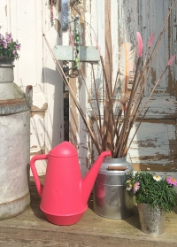 Дизайнерская садовая лейка для цветов 6 л Butler Pink Xala фото.jpg