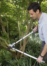 Сучкорез для деревьев с храплвым механизмом Burgon Ball английский инструмент фото.jpg