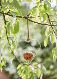 Кормушка подвесная для яблока в форме сердца Sophie Conran фото.jpg