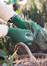 Перчатки тонкие для цветов и работы в саду Green Colors AJS-Blackfox фото