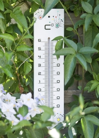 Термометр деревянный для дома и улицы T4040000 французского бренда AJS-Blackfox