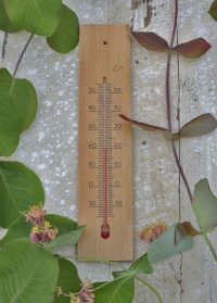 Деревянный настенный термометр для помещения 40013 AJS-Blackfox (Франция) фото