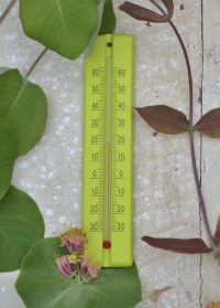 Термометр деревянный для дома и улицы Anis AJS-Blackfox фото на сайте интернет-магазина Consta Garden