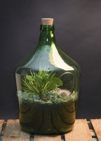 Флорариум стеклянный для цветов бутылка 10 литров AGG66 Esschert Design фото