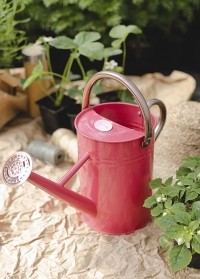 Лейка садовая металлическая для полива цветов 4.5 л. Coral Pink Smart Garden фото