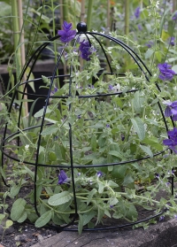 Держатель для растений металлический Beehive 45 см. Smart Garden фото