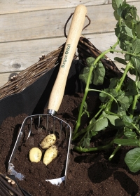 Лопата для копки картофеля Burgon & Ball (Великобритания) фото