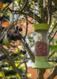 Садовая кормушка для птиц для орехов 20 см. 7511001 Supreme by ChapelWood Smart Garden картинка