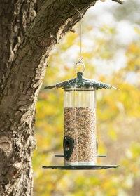 Кормушка для птиц закрытая Дубовые листья для сада и дачи FB484 Esschert Design фото