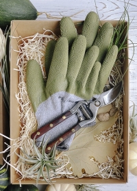 Подарочный набор мужчине для дачи и сада Green от Consta Garden - садовые перчатки и секатор в подарочной упаковке фото