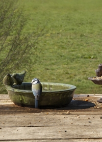 Садовая купальня-кормушка для птиц керамическая овальная Green FB404 от Esschert Design фото