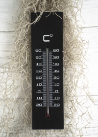 Термометр настенный 22 см. для дома и улицы Medium Black от AJS-Blackfox (Франция) фото