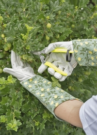 Перчатки c длинными манжетами для роз и колючих растений Sicilian Lemon Garden от Briers фото