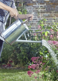 Садовая оцинкованная лейка для полива цветов 9 л. Galvanised Steel Smart Garden фото