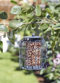 Компактная кормушка с колбой для орехов для птиц с защитой от белок Compact Peanut Smart Garden фото