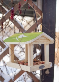 Деревянная подвесная кормушка для птиц Домик FB542 от Esschert Design фото