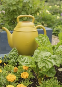 Садовая лейка в форме чайника 10 л. Chai Curry yellow XALA (Нидерланды) фото