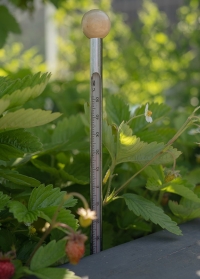 Термометр для температуры почвы GT230 Esschert Design фото