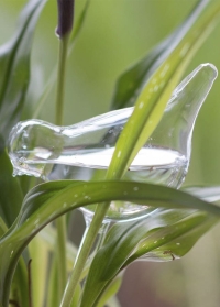 Капельный полив для горшечных растений стеклянная Птичка WH11 Esschert Design фото