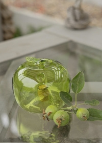 Ловушка для плодовой мухи в форме яблока EG23 Esschert Design (Нидерланды) фото