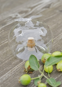 Ловушка для плодовой мухи в форме яблока EG20 Esschert Design (Нидерланды) фото
