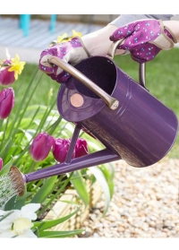 Металлическая садовая лейка для цветов 4.5 л. Violet от Smart Garden (Великобритания) фото