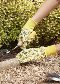 Перчатки садовые из хлопка с пупырышками - набор 3 шт. Sicilian Lemon от Briers (Великобритания) фото