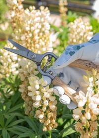 Ножницы садовые для цветов с деревянными рукоятками Esschert Design GT145 фото на сайте Consta Garden