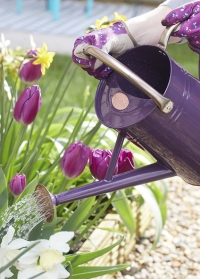 Лейка садовая для цветов 9 л. Violet от Smart Garden заказать на сайте Consta Garden