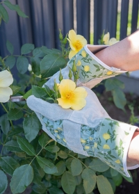 Перчатки садовые кожаные для роз Sicilian Lemon от Briers (Великобритания) фото на сайте Consta Garden