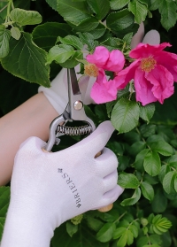 Оригинальный подарочный комплект садоводу и дачнику Сбор урожая Roses от Consta Garden фото