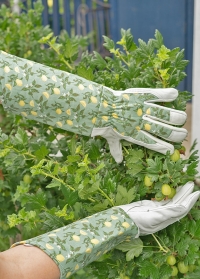Оригинальный подарок садоводу - перчатки для роз от Briers заказать в интернет-магазине Consta Garden фото